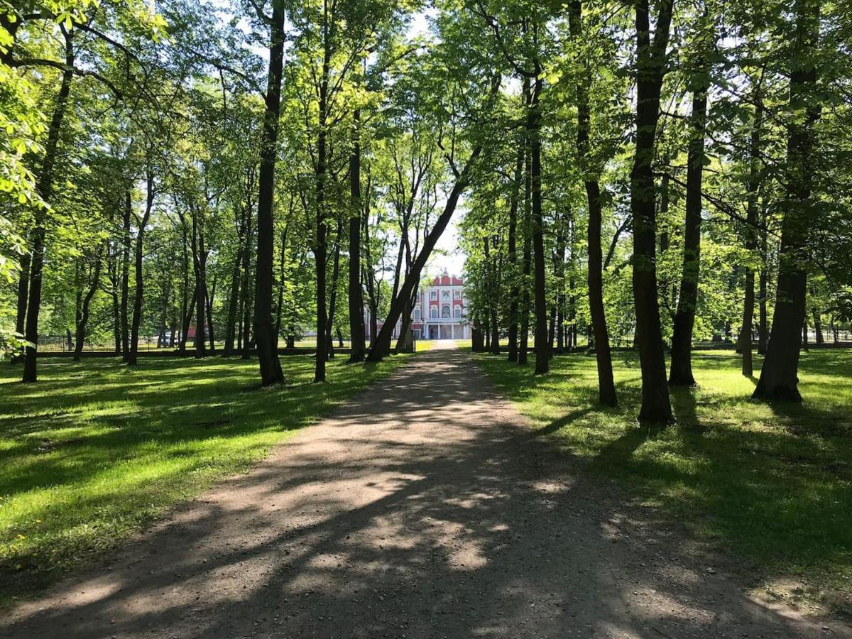 1 Bedroom Apartment Near Kadriorg Swan Pond Tallinn Exteriér fotografie